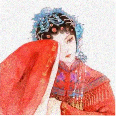 观众冬眠的猫的头像